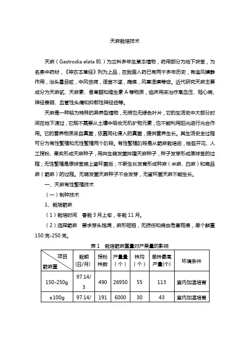 天麻栽培技术