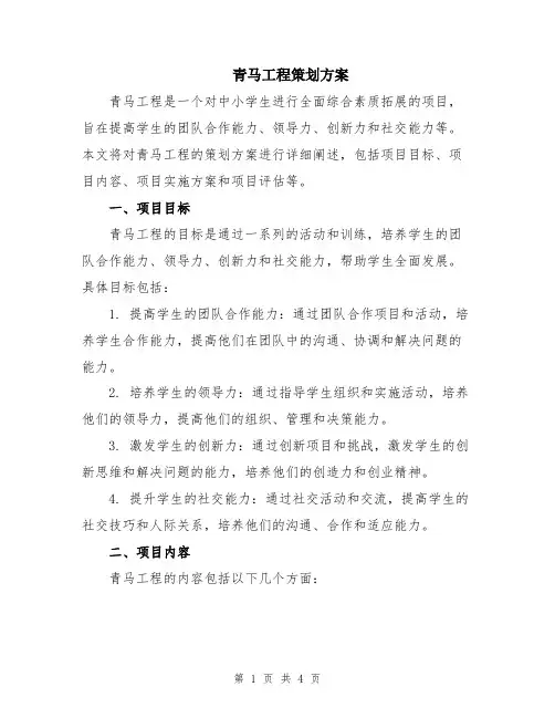 青马工程策划方案