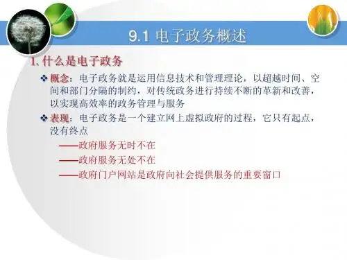 电子政务