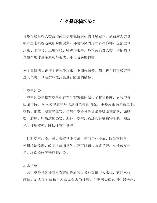 什么是环境污染？