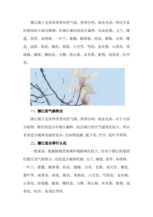 镇江适合养什么花,市花和市树是什么