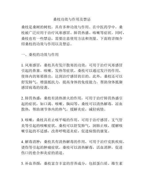 桑枝功效与作用及禁忌