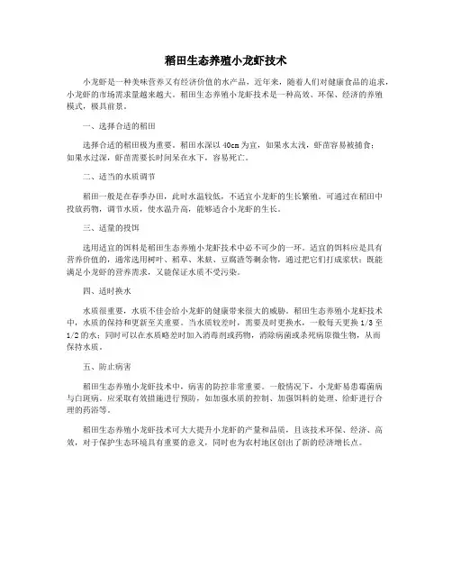 稻田生态养殖小龙虾技术