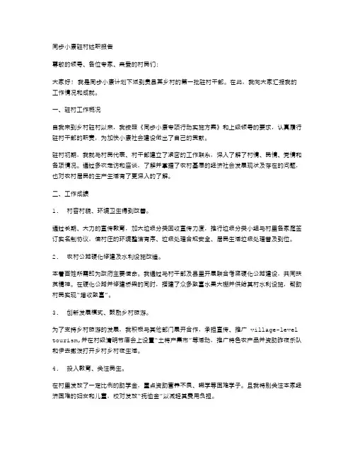 同步小康驻村述职报告范文