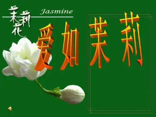 《爱如茉莉》课件