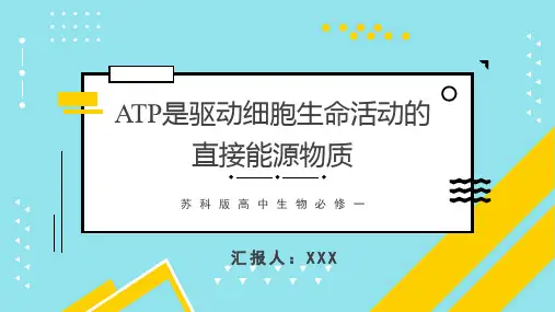 ATP是驱动细胞生命活动的直接能源物质
