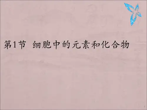 细胞中的元素和化合物ppt课件