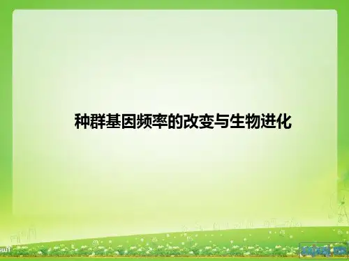 高中生物必修二课件-7.2.1 种群基因频率的改变与生物进化5-人教版