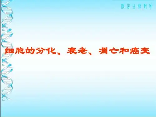 细胞的分化、衰老、凋亡、癌变(课件)