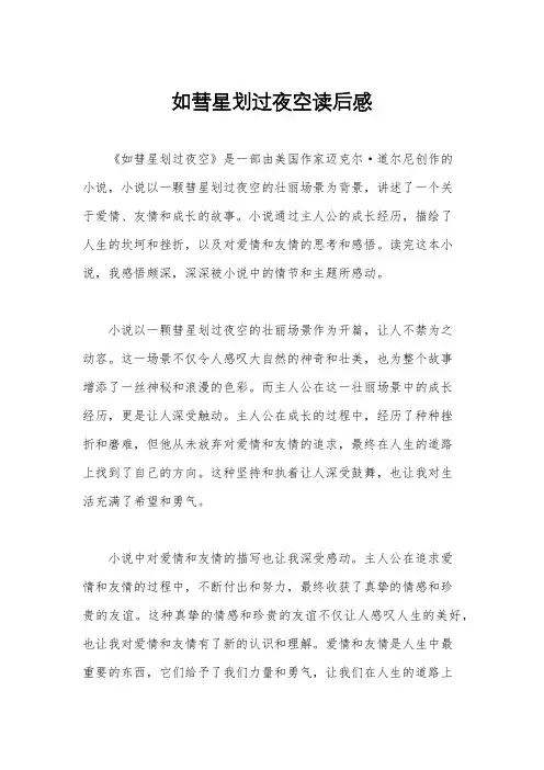 如彗星划过夜空读后感