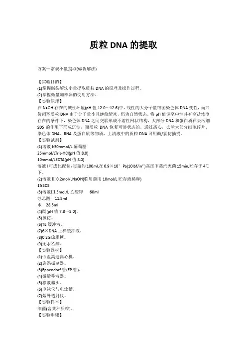 质粒DNA的提取