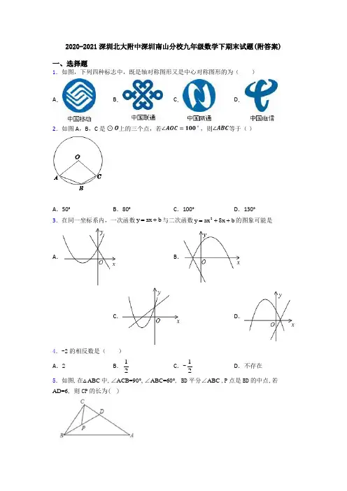 2020-2021深圳北大附中深圳南山分校九年级数学下期末试题(附答案)