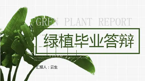 绿植毕业答辩ppt