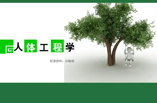 《人体工程学》说课