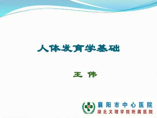人体发育学基础
