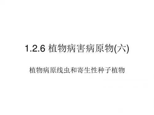 1.2.6植物病害病原物(六).