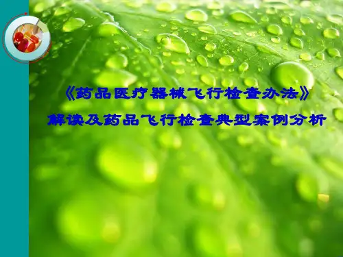 《药品医疗器械飞行检查办法》解读及药品飞行检查典型案例分析
