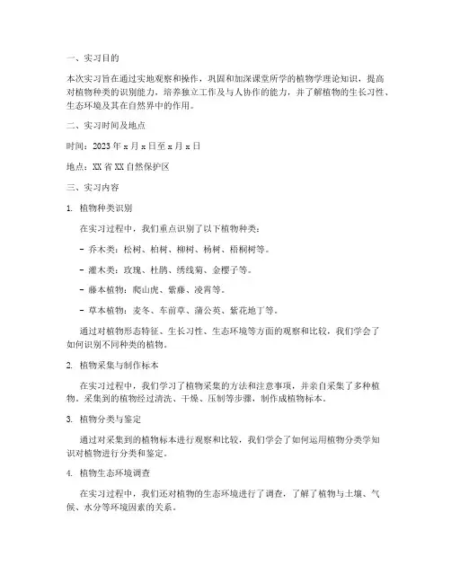 植物种类识别实习报告