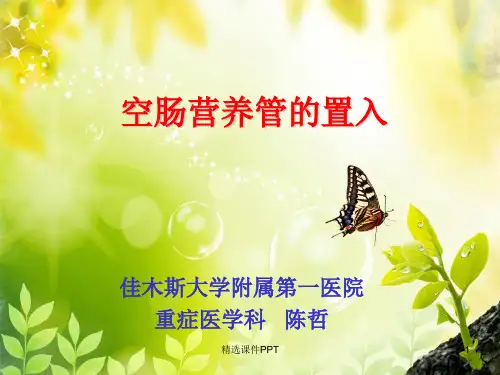 空肠营养管的置入ppt课件