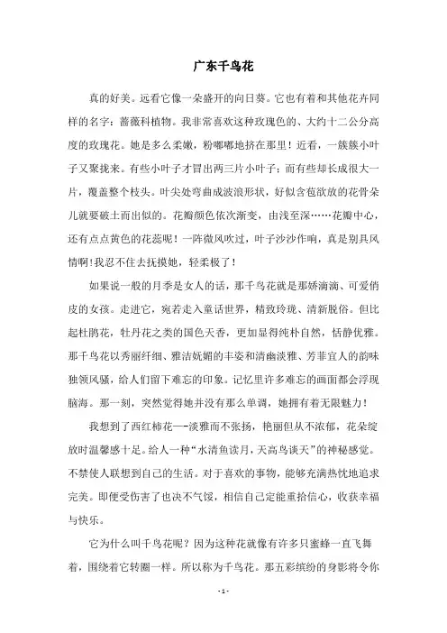 广东千鸟花