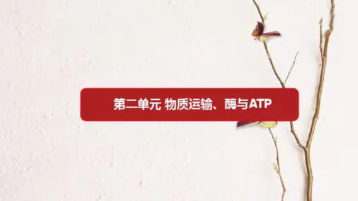 第二单元 物质运输、酶与ATP【复习课件】-2021年高考一轮生物单元复习一遍过.pptx