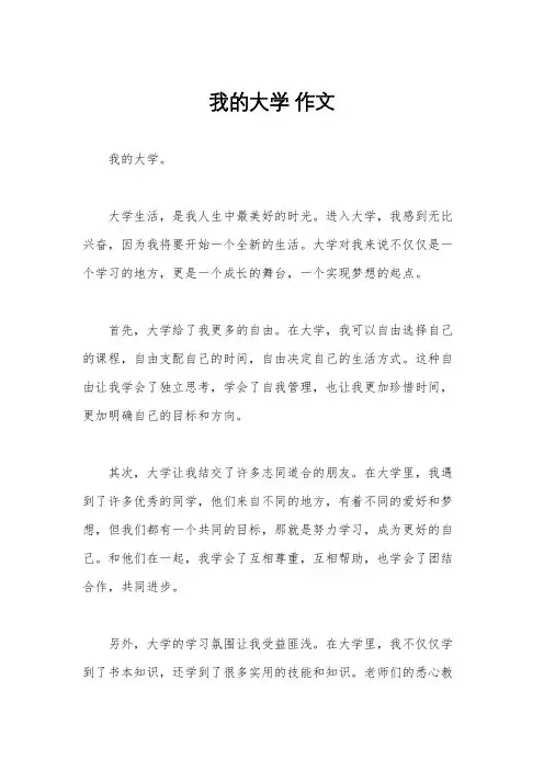 我的大学 作文