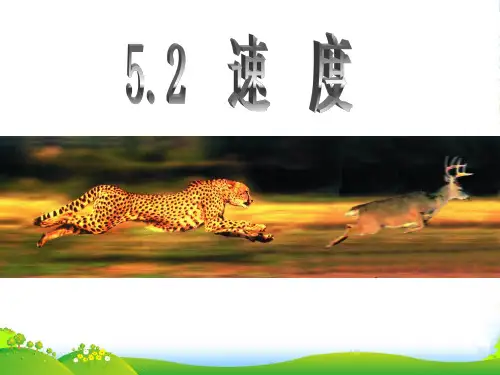 新苏教版八年级物理上册3A5.2速度 课件 (共19张PPT)