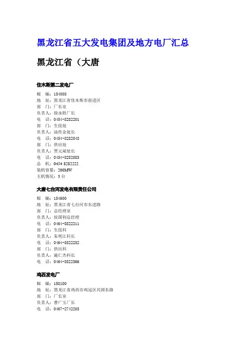 黑龙江省五大发电集团及地方电厂汇总 精品