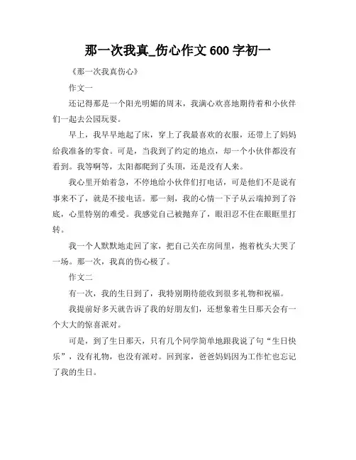 那一次我真_伤心作文600字初一