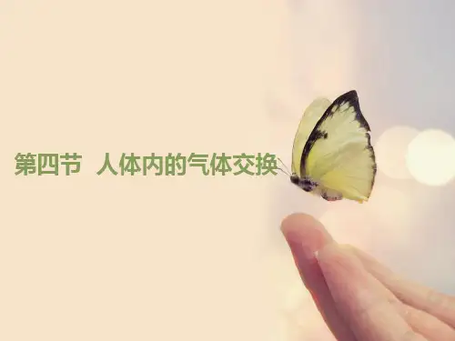初中生物  人体内的气体交换3 苏教版精品课件