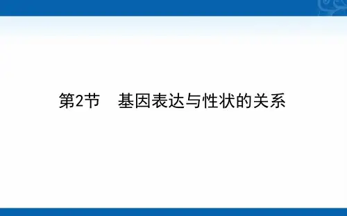 新教材2020-2021学年生物高中人教版必修2课件-4.第2节-基因表达与性状的关系