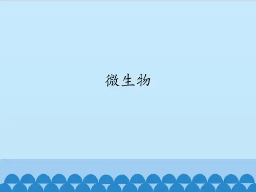 首师大版 六年级下册科学课件微生物 (共12张PPT)
