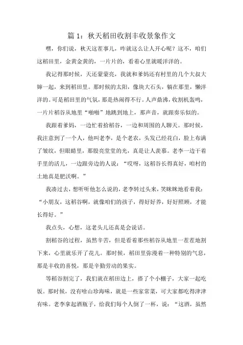 秋天稻田收割丰收景象作文精选6篇