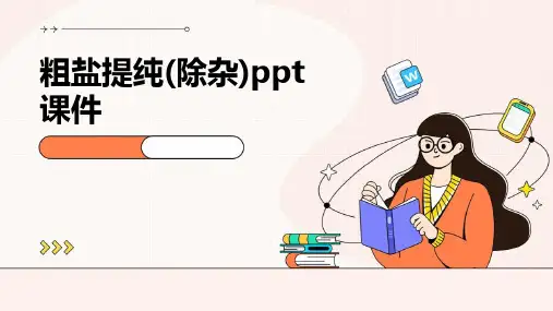 粗盐提纯(除杂)PPT课件