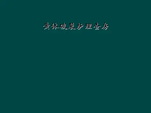 黄体破裂护理查房