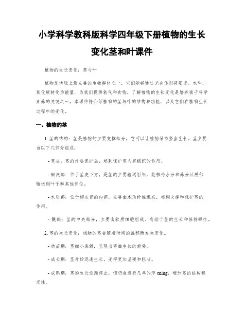 小学科学教科版科学四年级下册植物的生长变化茎和叶课件