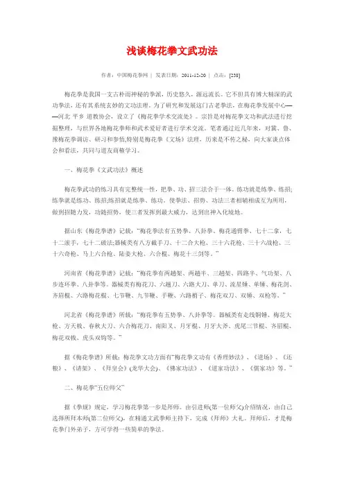 浅谈梅花拳文武功法