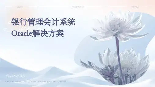 银行管理会计系统ORACLE解决方案ppt