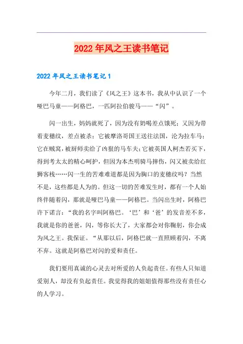 2022年风之王读书笔记