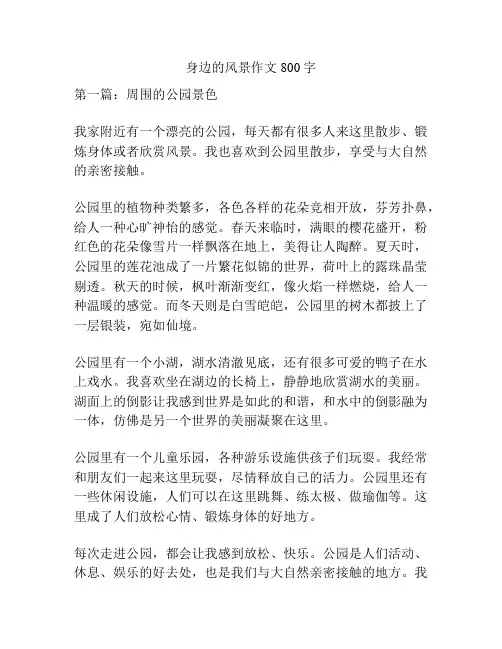 身边的风景作文800字