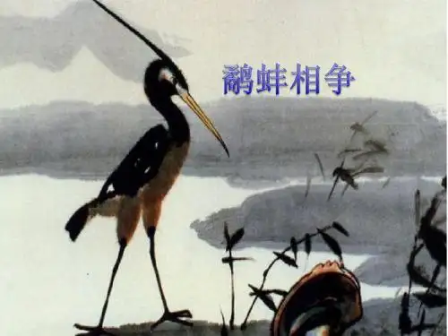 《鹬蚌相争》ppt课件定稿