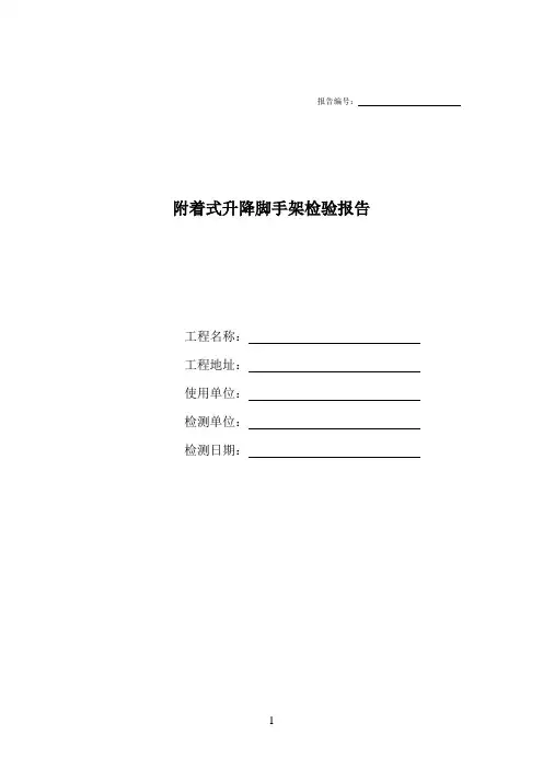 附着式升降脚手架检验报告