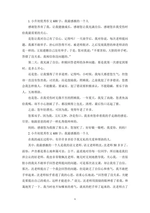 小升初优秀作文600字：我最感激的一个人(精选)