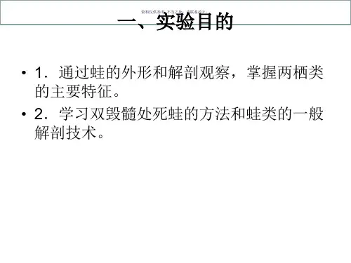 蛙的外形和解剖
