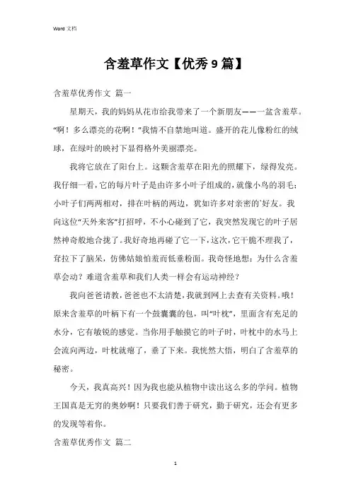 含羞草作文【9篇】