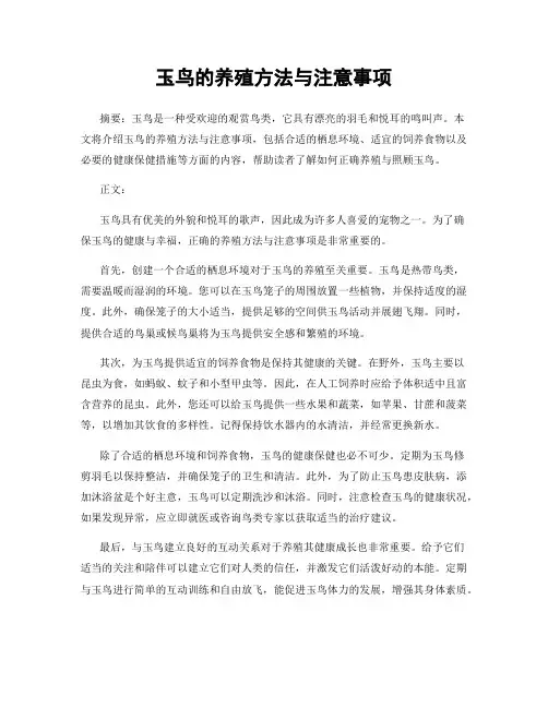 玉鸟的养殖方法与注意事项