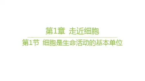 人教版高中生物学必修1精品课件 第1章 走近细胞 第1节 细胞是生命活动的基本单位 (3)