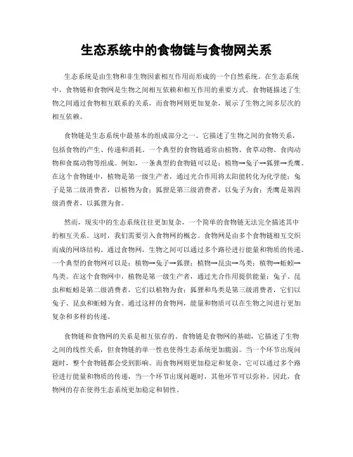生态系统中的食物链与食物网关系