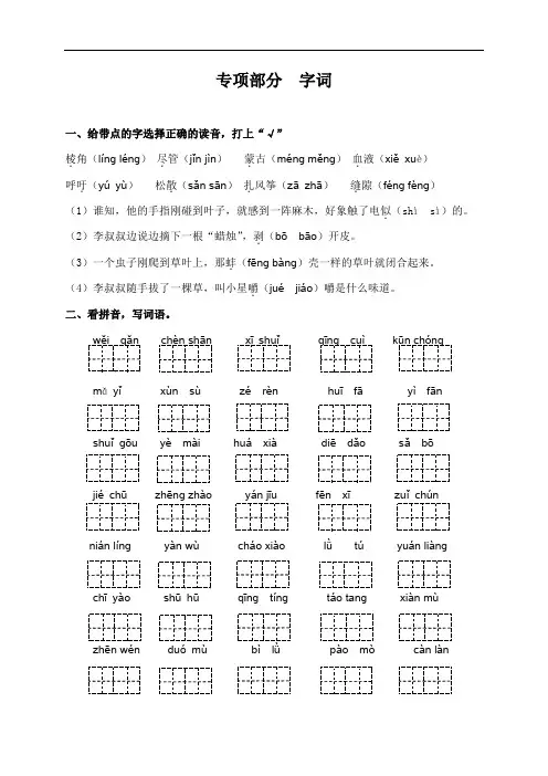 三年级语文-小学三年级语文专项复习《字词》(配语文s版) 最新