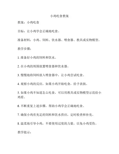 小鸡吃食教案